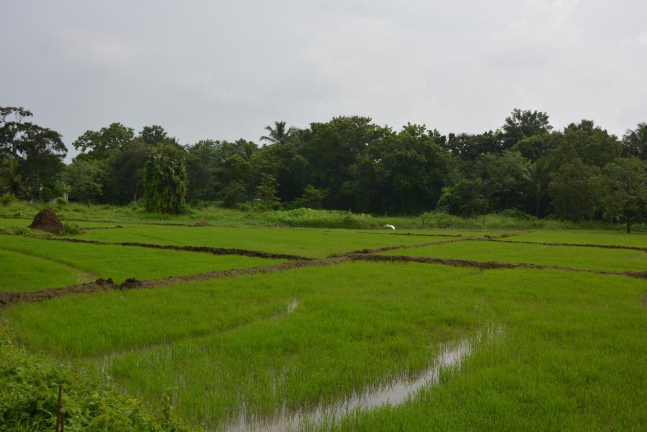 Monaara Leisure - Anuradhapura Ngoại thất bức ảnh